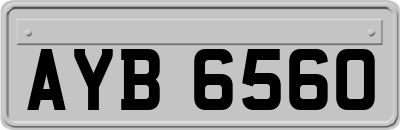 AYB6560