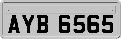 AYB6565