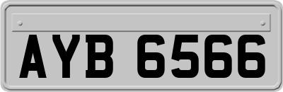 AYB6566