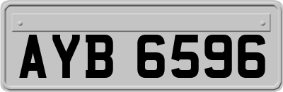 AYB6596