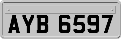 AYB6597