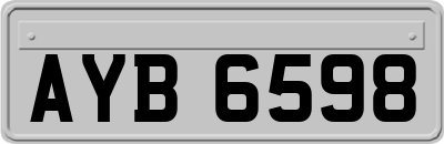 AYB6598