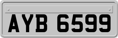 AYB6599