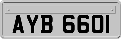 AYB6601