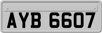 AYB6607