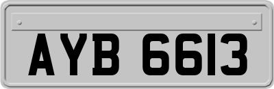 AYB6613