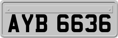 AYB6636