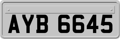 AYB6645
