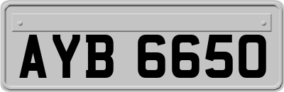 AYB6650