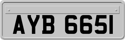 AYB6651