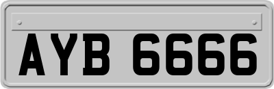 AYB6666