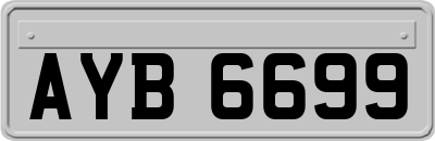 AYB6699