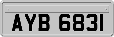 AYB6831
