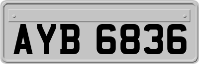 AYB6836