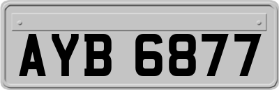 AYB6877