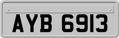 AYB6913