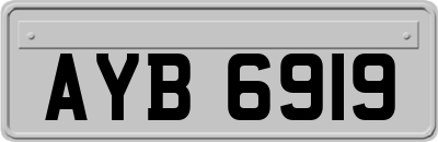 AYB6919