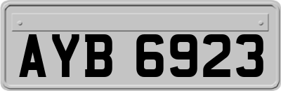 AYB6923