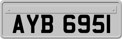 AYB6951