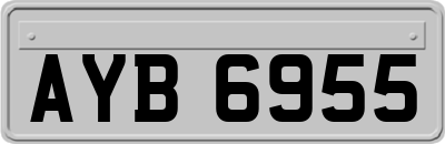 AYB6955