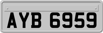 AYB6959