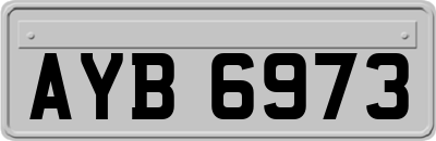 AYB6973