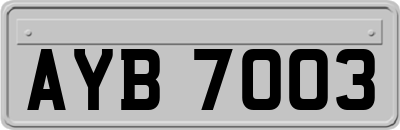 AYB7003