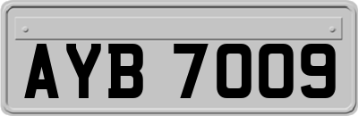 AYB7009