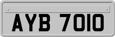 AYB7010