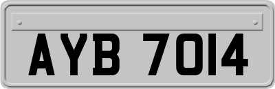 AYB7014