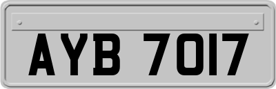 AYB7017