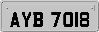 AYB7018
