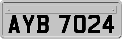 AYB7024