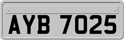 AYB7025