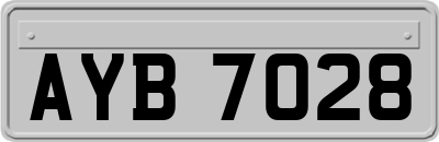 AYB7028
