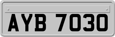 AYB7030