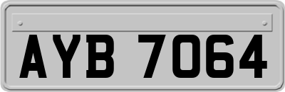 AYB7064