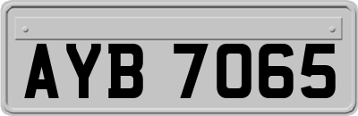 AYB7065