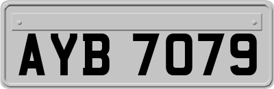AYB7079