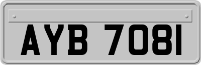 AYB7081