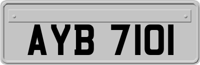 AYB7101