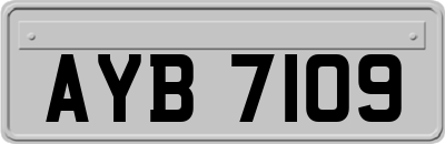 AYB7109