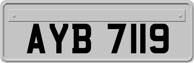 AYB7119