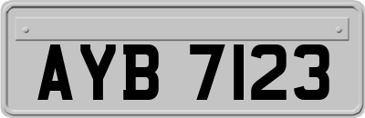 AYB7123