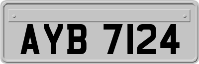 AYB7124