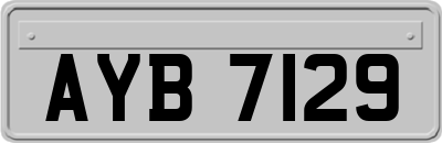 AYB7129