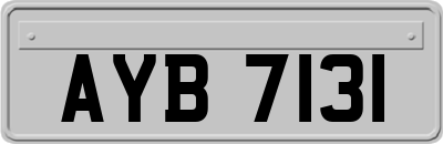 AYB7131