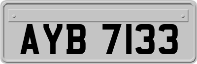AYB7133