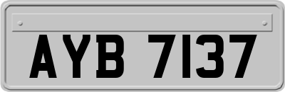 AYB7137