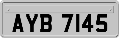 AYB7145